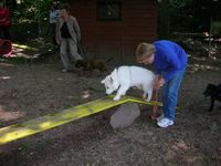 Dateiname=DSCN4670.JPG
Dateigröße=190KB
Abmessungen: 1024x768
hinzugefügt am: 13. Oktober 2018 DSCN4670.JPG
