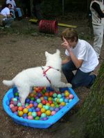 Dateiname=DSCN4740.JPG
Dateigröße=141KB
Abmessungen: 768x1024
hinzugefügt am: 13. Oktober 2018 DSCN4740.JPG